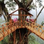 wisata rumah pohon bekasi