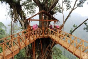 wisata rumah pohon bekasi