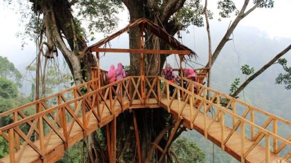 wisata rumah pohon bekasi